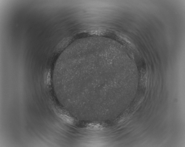 X0000069800502200606021443