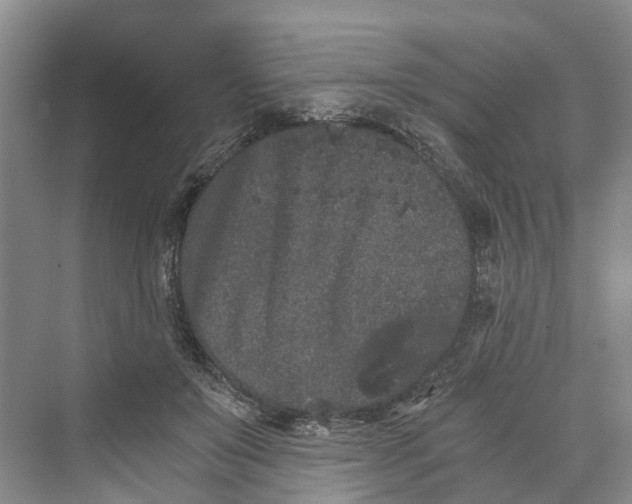 X0000069800503200606021443