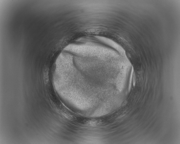 X0000069800504200606021443