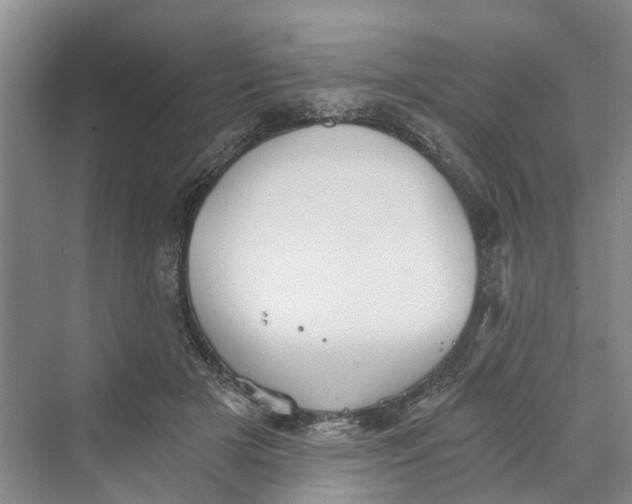 X0000069800505200606021443