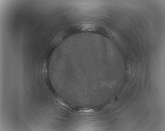 X0000069800506200606021443