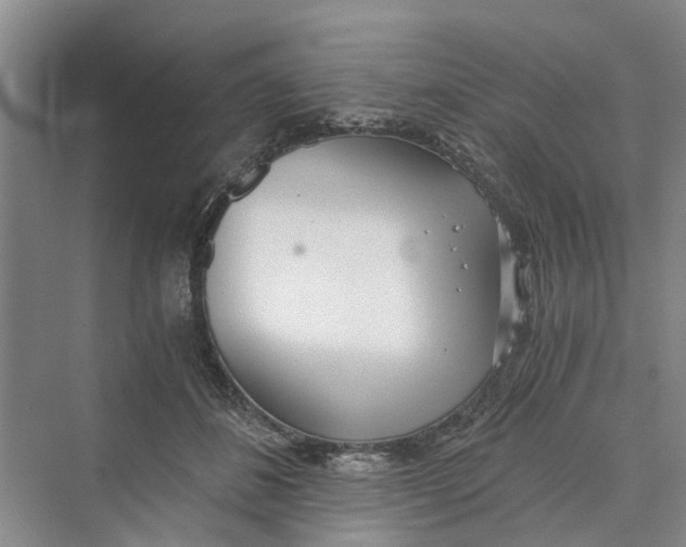 X0000069800508200606021443