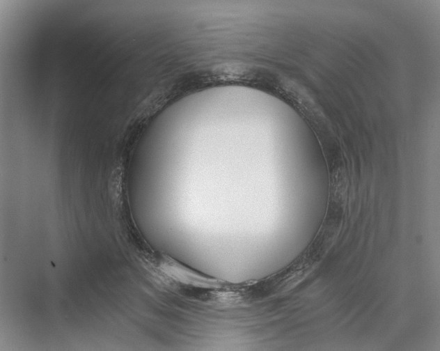 X0000069800509200606021443