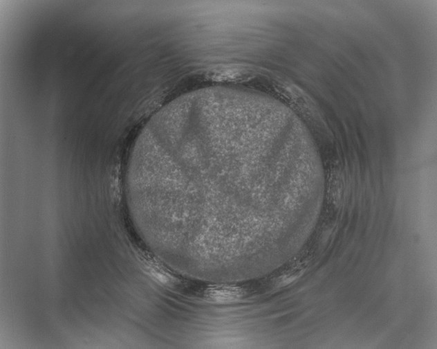 X0000069800510200606021443