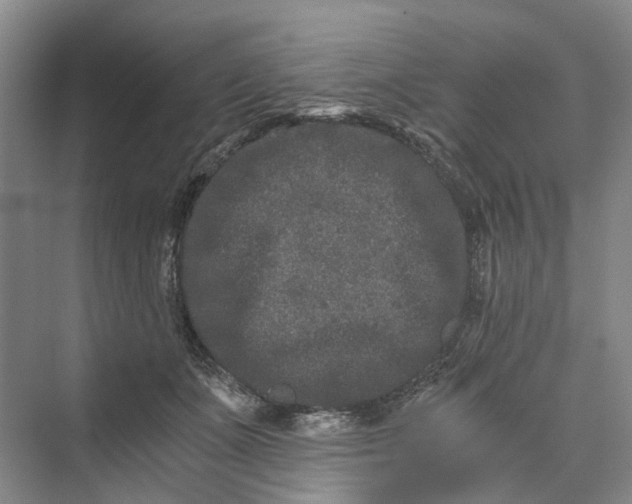 X0000069800511200606021443