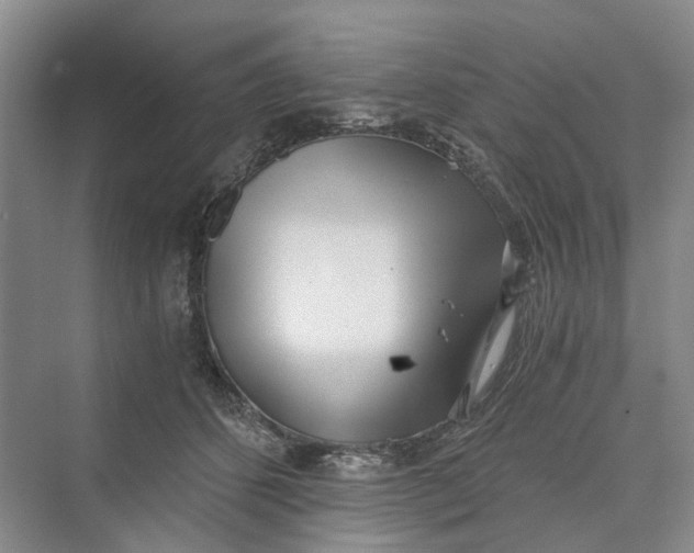 X0000069800512200606021443