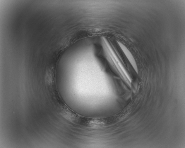 X0000069800515200606021443