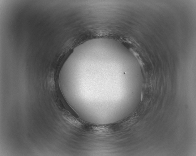 X0000069800516200606021442