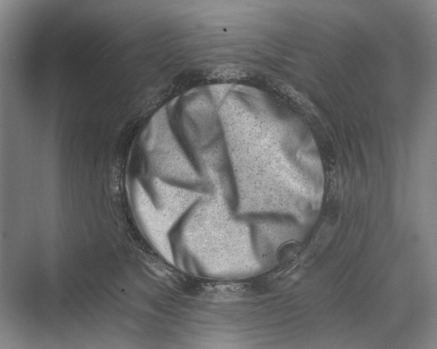 X0000069800517200606021442