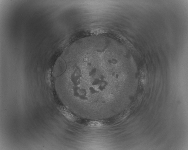 X0000069800519200606021442