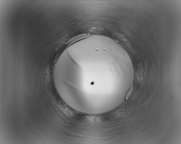 X0000069800520200606021442