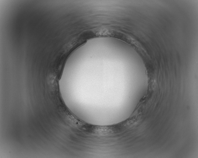 X0000069800521200606021442