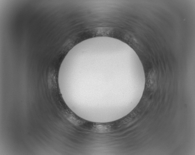 X0000069800522200606021442