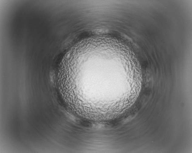 X0000069800523200606021442