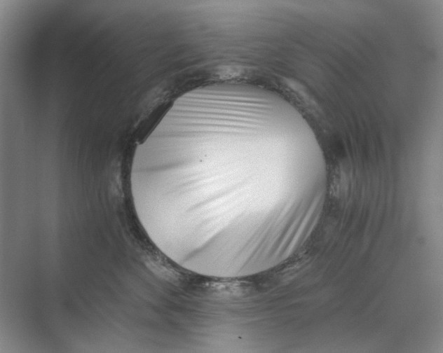 X0000069800524200606021442