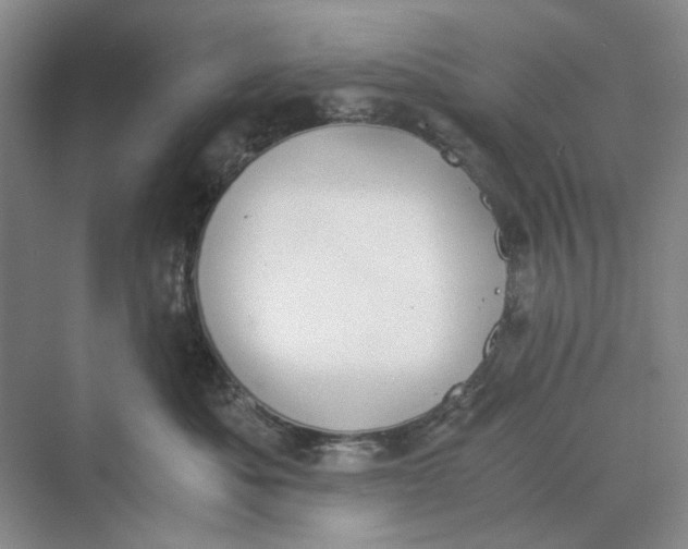 X0000069800525200606021442