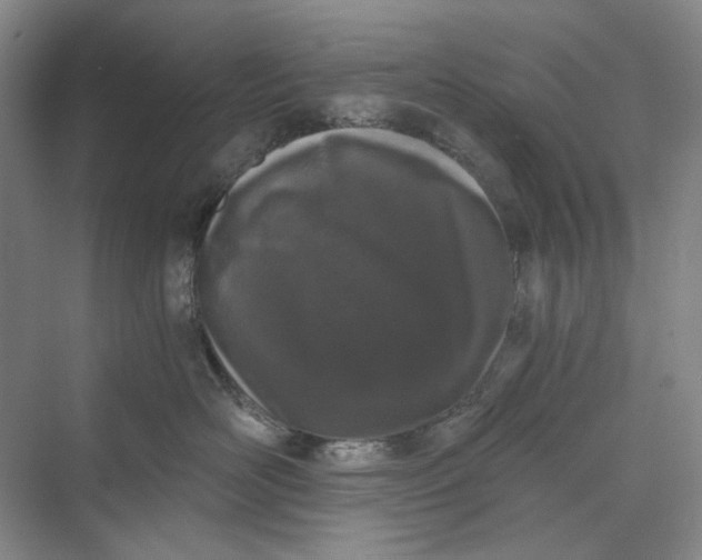 X0000069800526200606021442