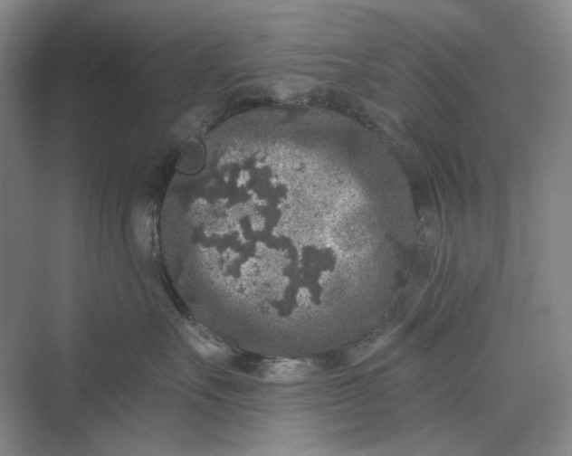 X0000069800527200606021442