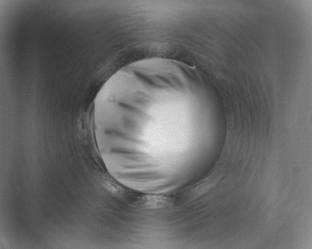 X0000069800528200606021442