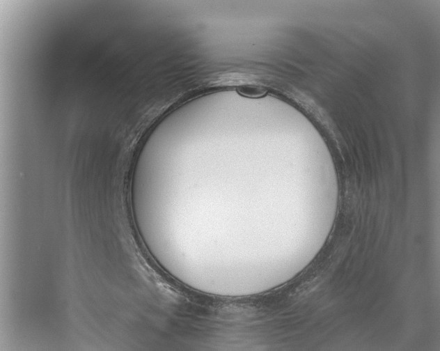 X0000069800529200606021441