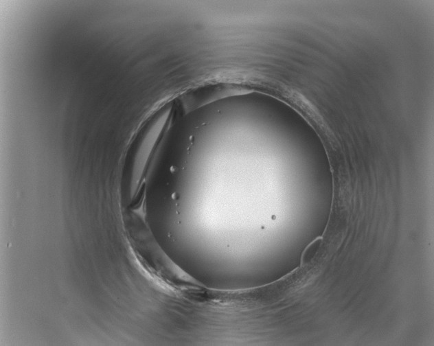 X0000069800530200606021442