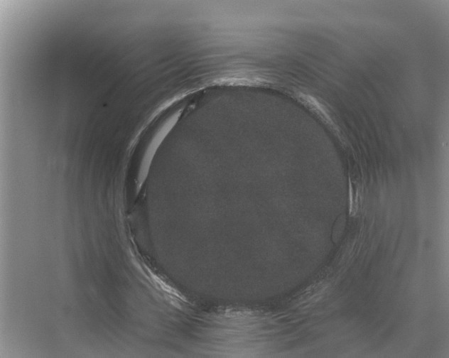 X0000069800531200606021442