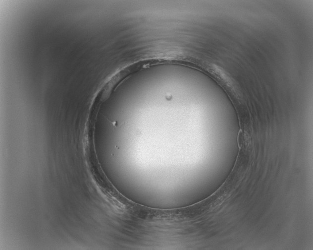 X0000069800532200606021442