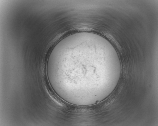 X0000069800533200606021442