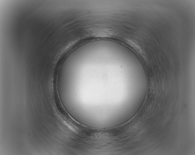 X0000069800535200606021442