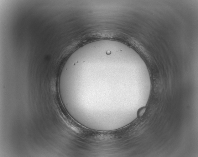 X0000069800537200606021442