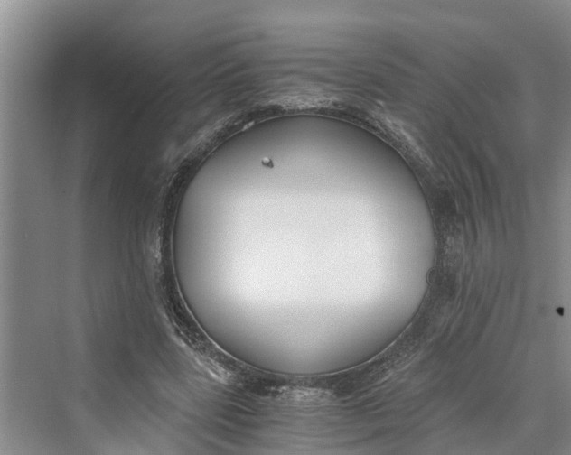 X0000069800539200606021442