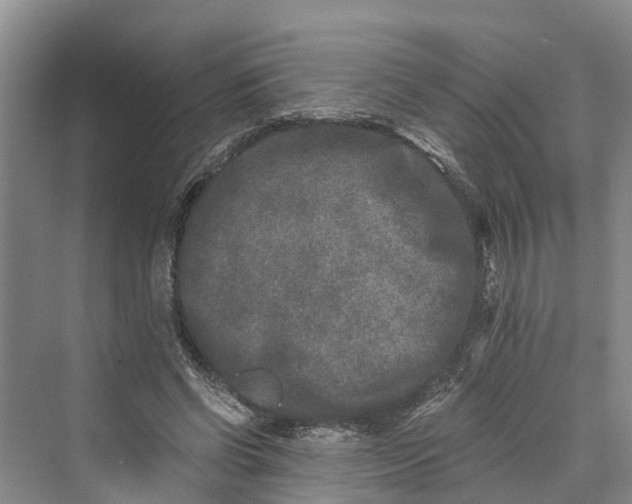 X0000069800542200606021442