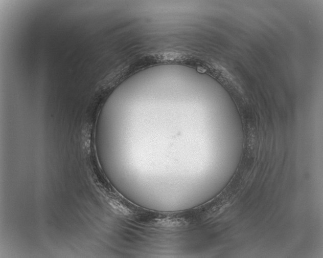 X0000069800545200606021442