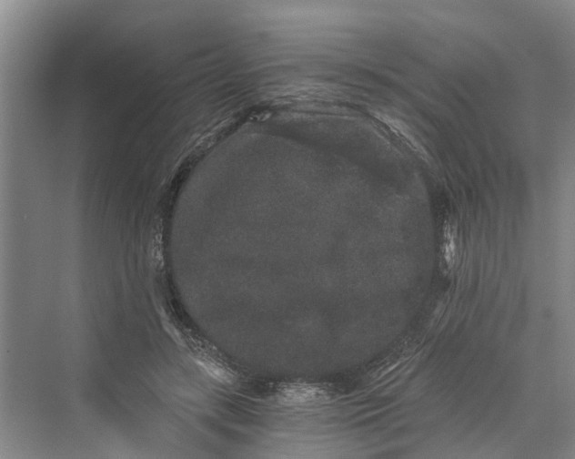 X0000069800547200606021442