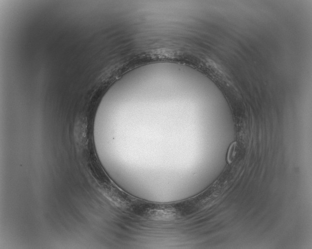 X0000069800548200606021442