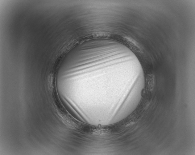 X0000069800550200606021442