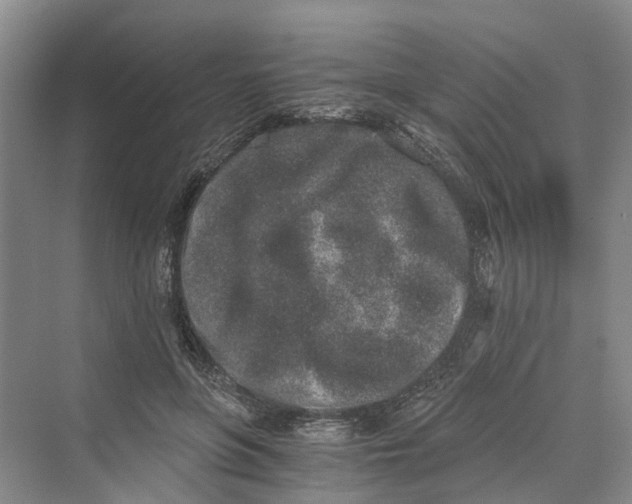 X0000069800551200606021442