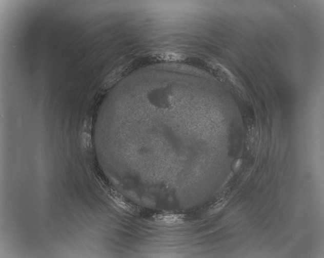 X0000069800553200606021442