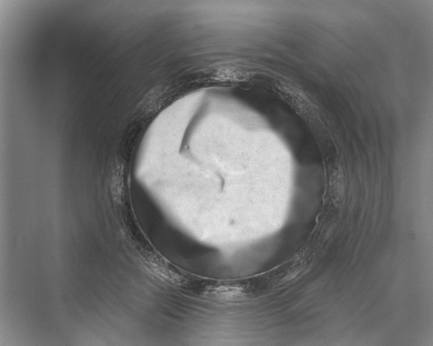 X0000069800554200606021442