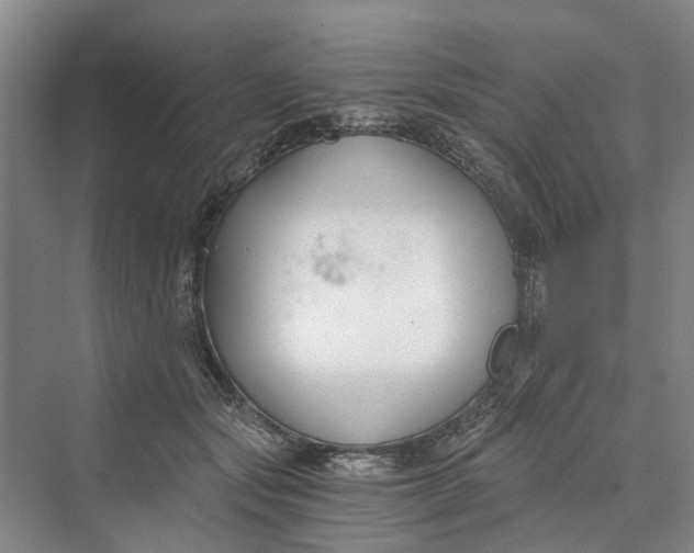 X0000069800557200606021442