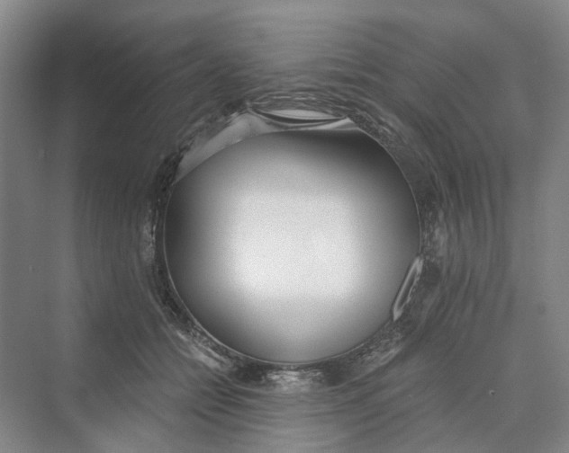 X0000069800558200606021442