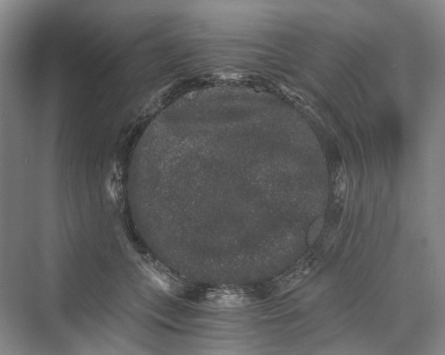 X0000069800559200606021442