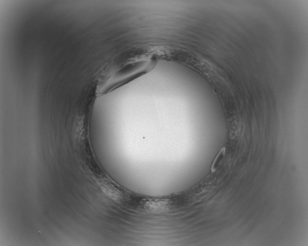 X0000069800560200606021442