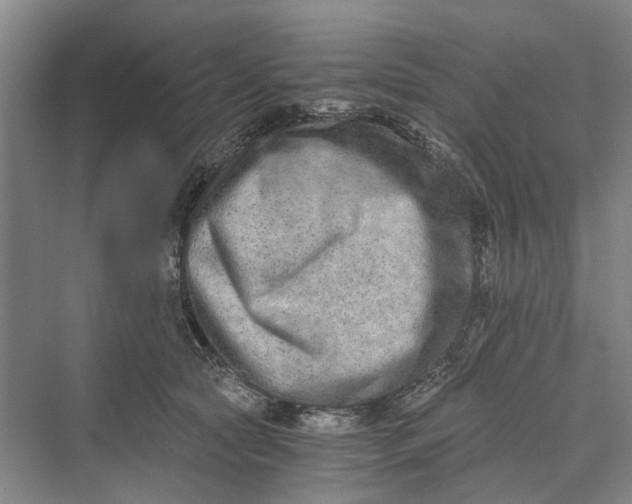 X0000069800561200606021442