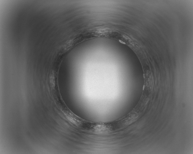 X0000069800562200606021442