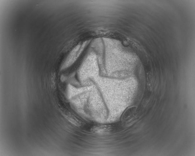 X0000069800563200606021442