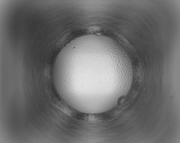 X0000069800565200606021442