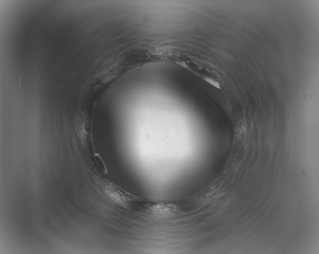 X0000069800566200606021442