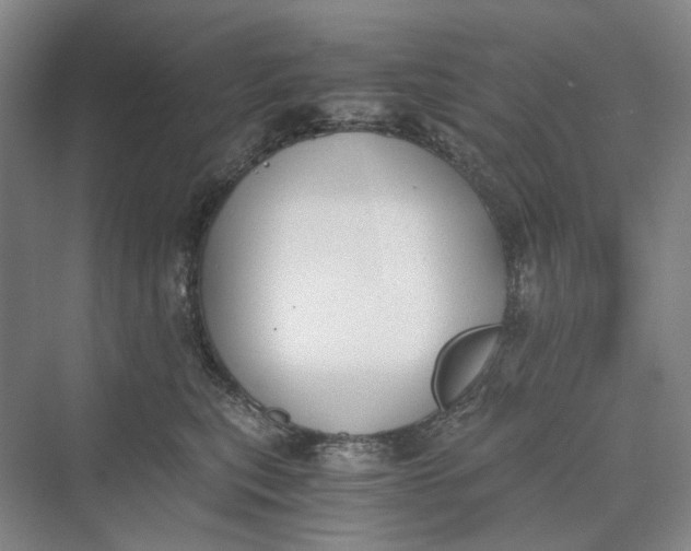 X0000069800567200606021442