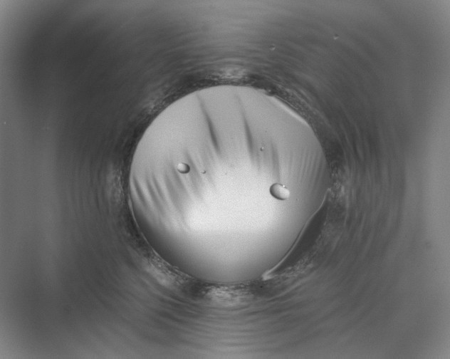 X0000069800568200606021442